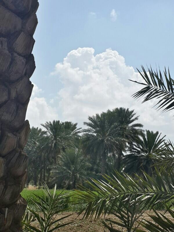 :	uploadfromtaptalk1394095822317.jpg
: 68
:	90.0 