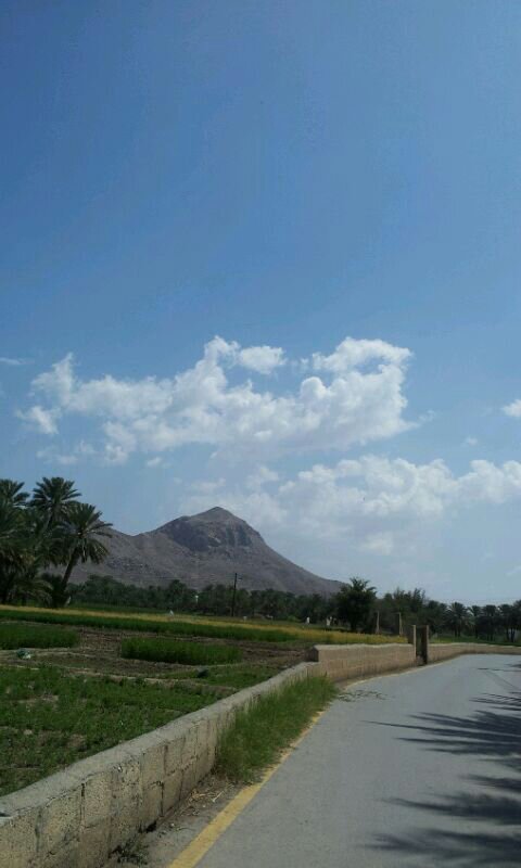 :	uploadfromtaptalk1394352062580.jpg
: 139
:	43.7 