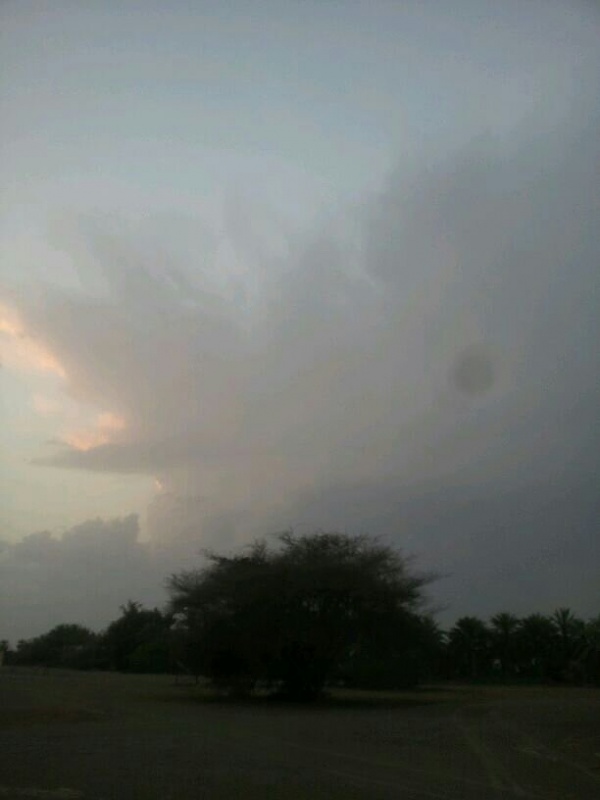     . 

:	uploadfromtaptalk1394894879941.jpg 
:	77 
:	27.7  
:	10565