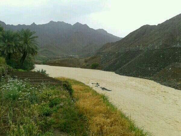 :	uploadfromtaptalk1396594222387.jpg
: 116
:	52.7 