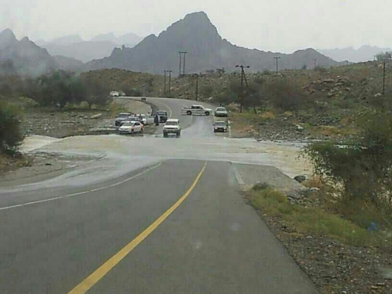     . 

:	uploadfromtaptalk1396595707144.jpg 
:	98 
:	46.1  
:	11056