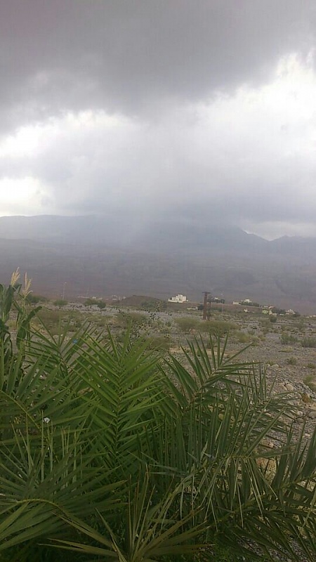    . 

:	uploadfromtaptalk1396607075121.jpg 
:	96 
:	76.1  
:	11066