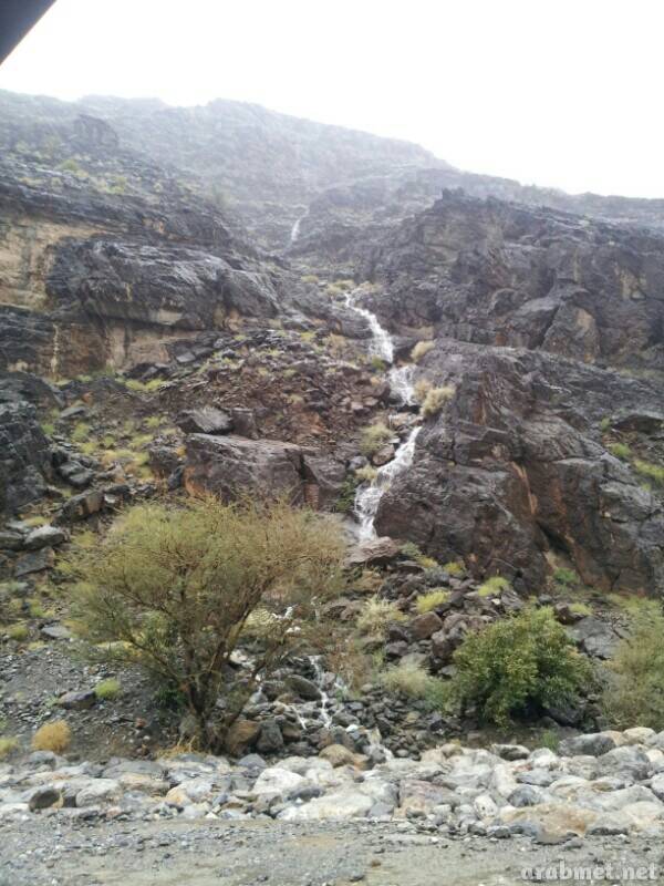 :	uploadfromtaptalk1396620721669.jpg
: 52
:	80.8 