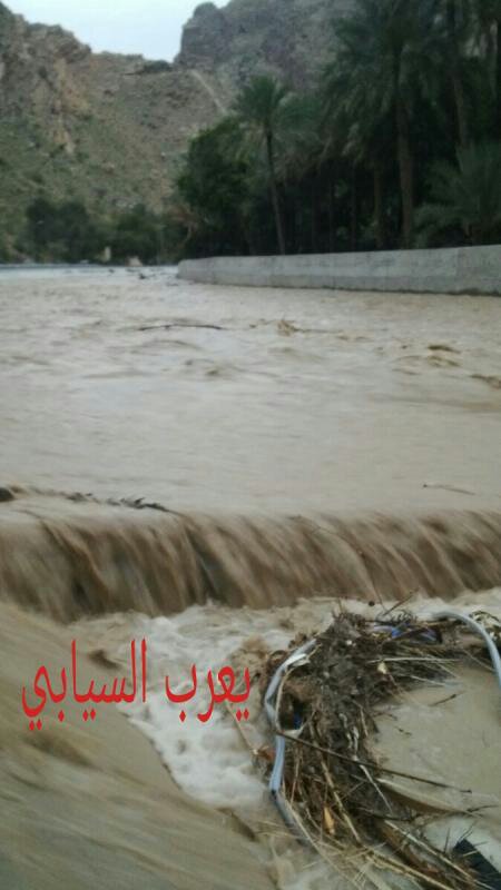 :	uploadfromtaptalk1396624448618.jpg
: 107
:	51.6 