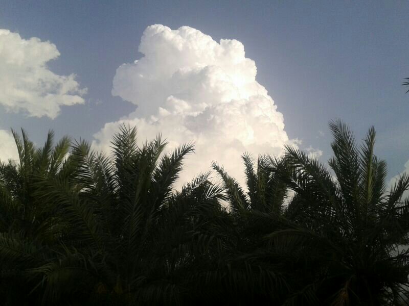 :	uploadfromtaptalk1398088122661.jpg
: 71
:	64.2 