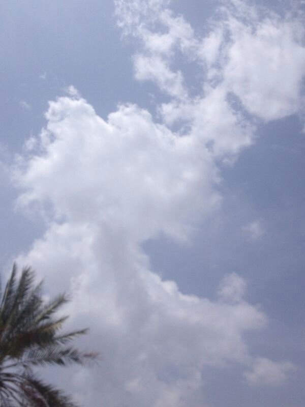 :	uploadfromtaptalk1398237519191.jpg
: 80
:	35.9 