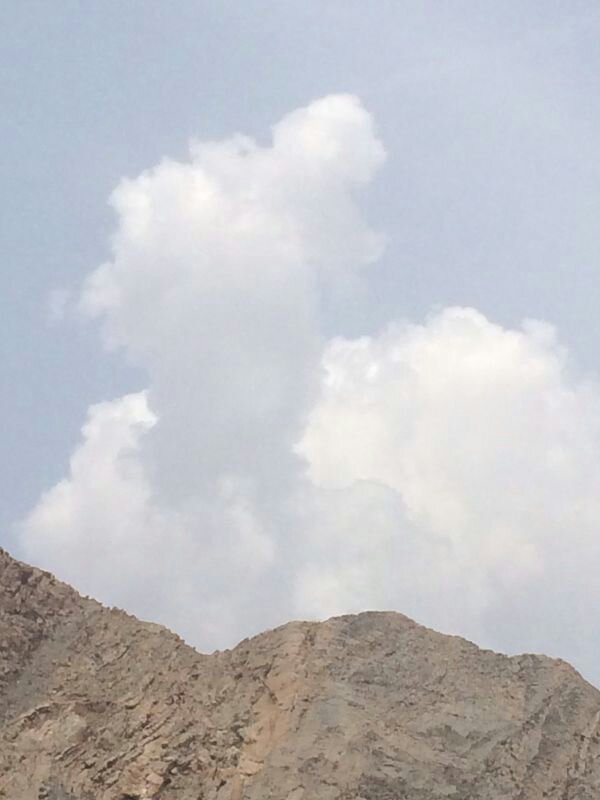 :	uploadfromtaptalk1398237940229.jpg
: 74
:	42.0 