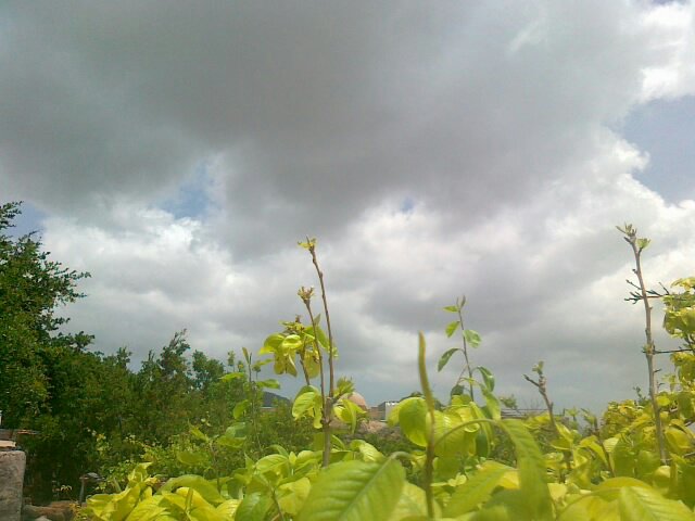 :	uploadfromtaptalk1398238477634.jpg
: 81
:	48.7 