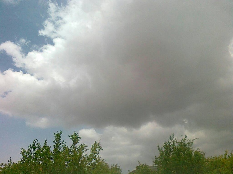     . 

:	uploadfromtaptalk1398240991847.jpg 
:	88 
:	55.5  
:	11386