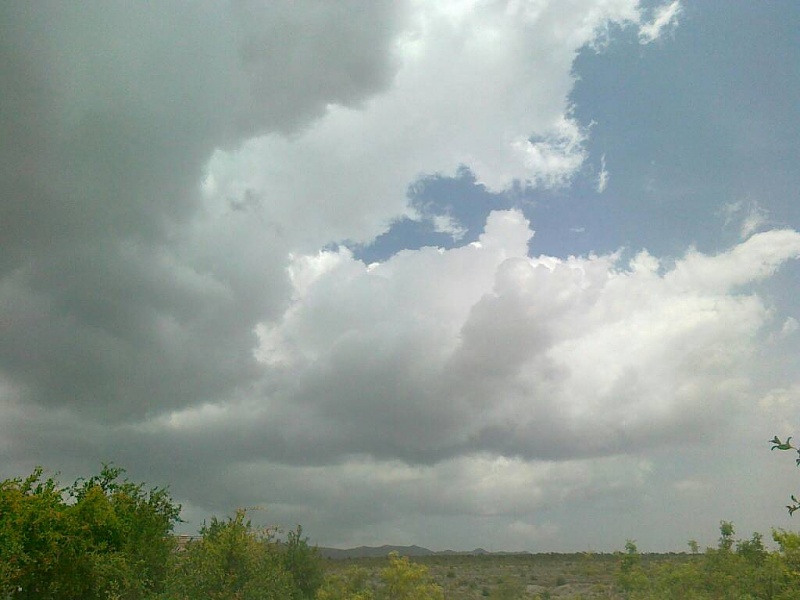     . 

:	uploadfromtaptalk1398241002057.jpg 
:	80 
:	50.6  
:	11387
