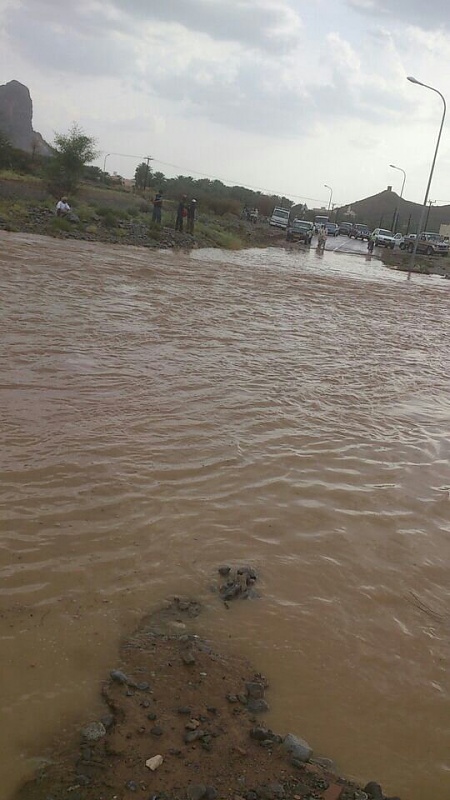     . 

:	uploadfromtaptalk1398267442847.jpg 
:	93 
:	80.4  
:	11407