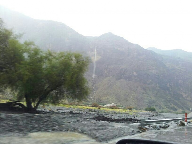     . 

:	uploadfromtaptalk1398267503942.jpg 
:	96 
:	62.7  
:	11408