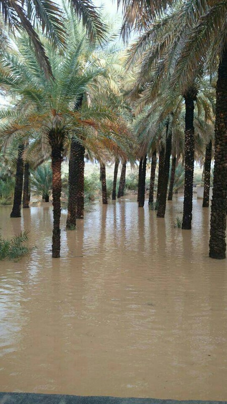     . 

:	uploadfromtaptalk1398267559900.jpg 
:	92 
:	98.9  
:	11409