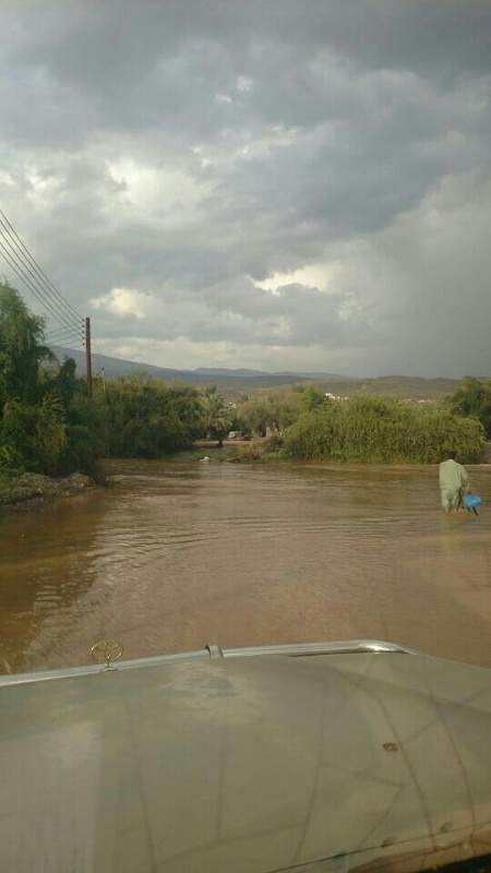     . 

:	uploadfromtaptalk1398267567775.jpg 
:	83 
:	49.8  
:	11410