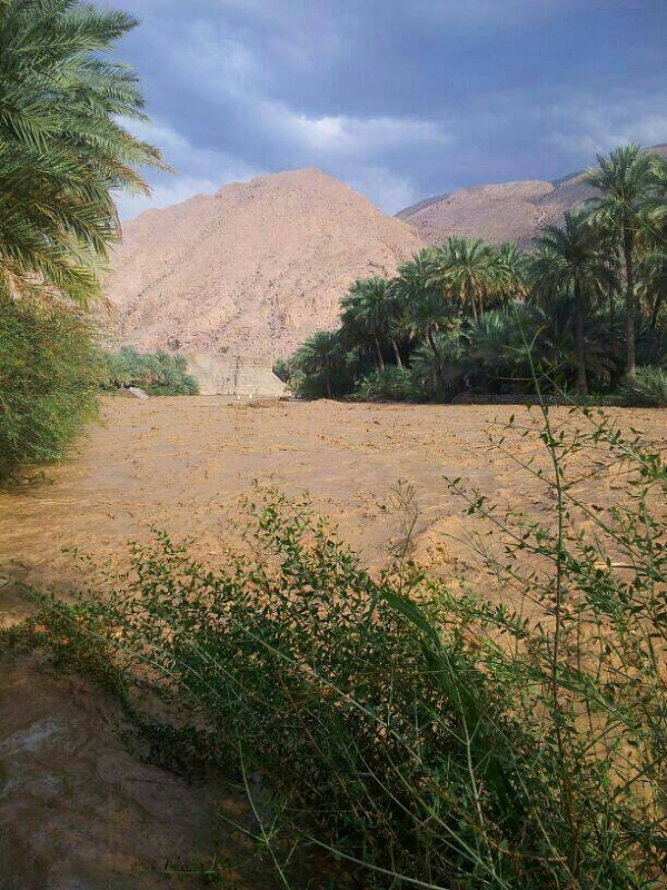     . 

:	uploadfromtaptalk1398267613904.jpg 
:	91 
:	110.8  
:	11411