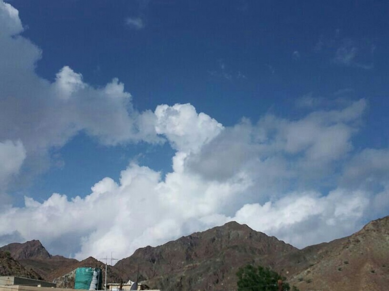     . 

:	uploadfromtaptalk1354346316198.jpg 
:	117 
:	44.2  
:	1150