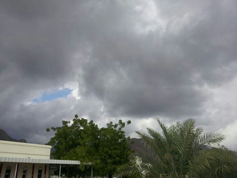     . 

:	uploadfromtaptalk1354347386835.jpg 
:	117 
:	53.7  
:	1155