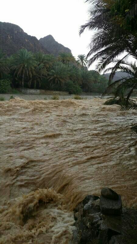 ��������:	uploadfromtaptalk1398948686502.jpg
���������: 148
��������:	81.0 ��������