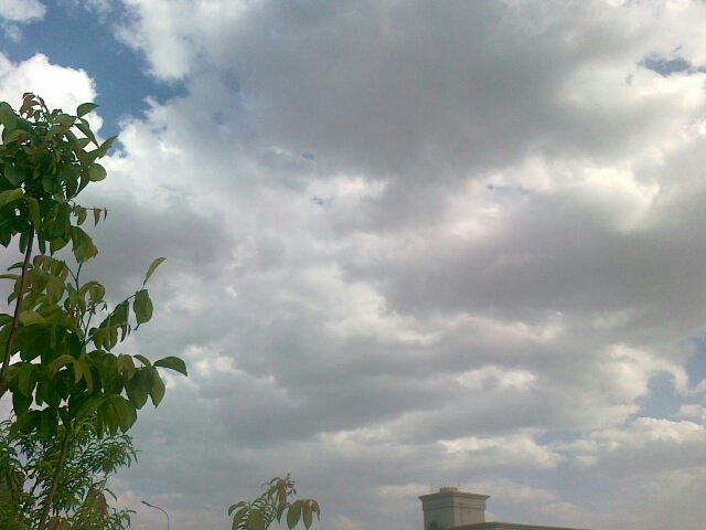 :	uploadfromtaptalk1399639195145.jpg
: 84
:	40.9 