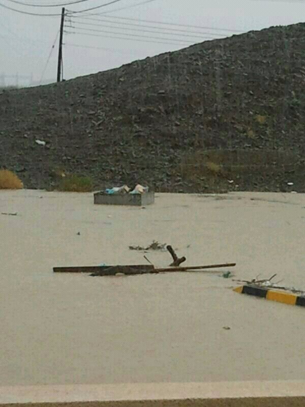 ��������:	uploadfromtaptalk1354368600612.jpg
���������: 89
��������:	98.0 ��������