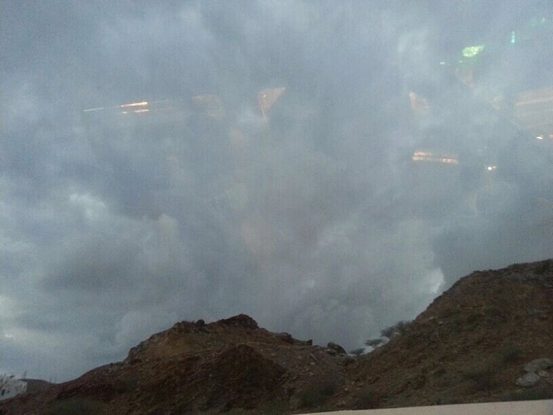 ���� ��� ������ ���� ����.&nbsp;

�����:	uploadfromtaptalk1354368726760.jpg&nbsp;
�������:	137&nbsp;
�����:	91.1 ��������&nbsp;
������:	1215