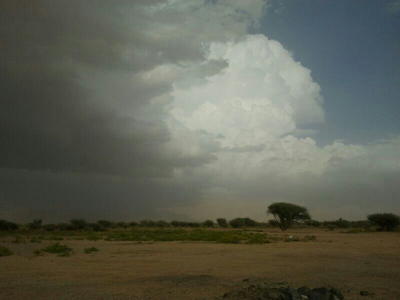 :	uploadfromtaptalk1400421964596.jpg
: 85
:	39.8 
