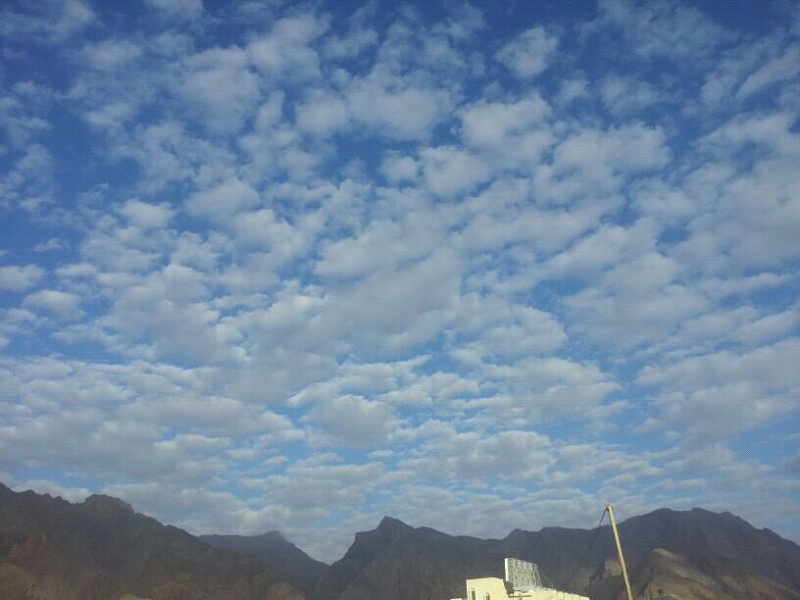     . 

:	uploadfromtaptalk1354420411892.jpg 
:	88 
:	82.1  
:	1227