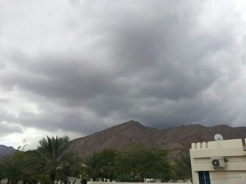     . 

:	uploadfromtaptalk1354439620079.jpg 
:	99 
:	42.9  
:	1236