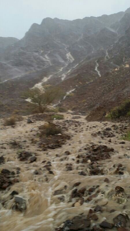 :	uploadfromtaptalk1400518975034.jpg
: 53
:	58.5 