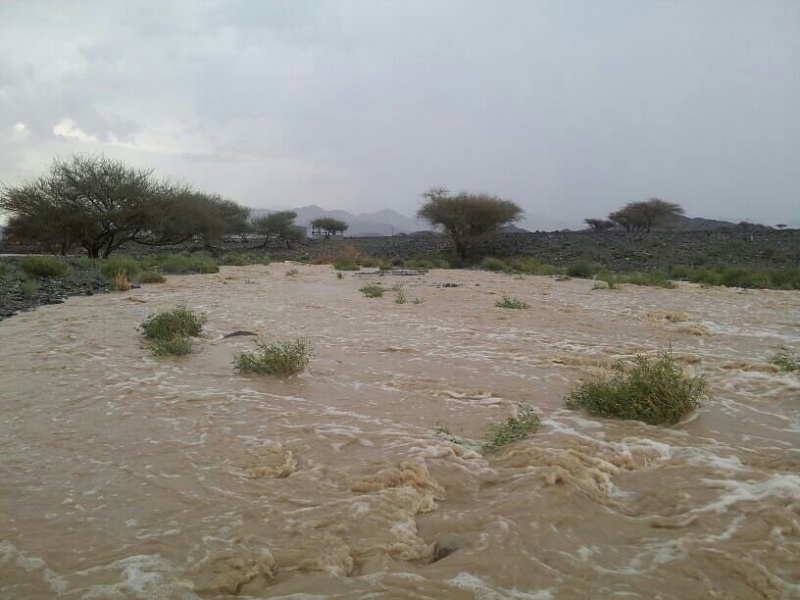 ���� ��� ������ ���� ����.&nbsp;

�����:	uploadfromtaptalk1400519891421.jpg&nbsp;
�������:	133&nbsp;
�����:	70.2 ��������&nbsp;
������:	12390