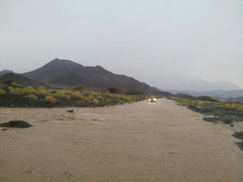 ���� ��� ������ ���� ����.&nbsp;

�����:	uploadfromtaptalk1400519923211.jpg&nbsp;
�������:	129&nbsp;
�����:	49.8 ��������&nbsp;
������:	12395