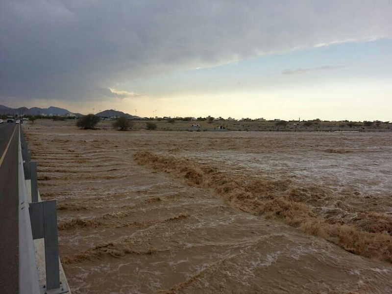 ���� ��� ������ ���� ����.&nbsp;

�����:	uploadfromtaptalk1400520289768.jpg&nbsp;
�������:	126&nbsp;
�����:	73.2 ��������&nbsp;
������:	12406