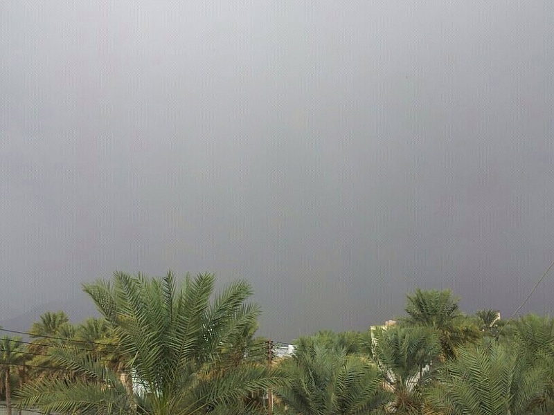     . 

:	uploadfromtaptalk1354442000316.jpg 
:	181 
:	98.0  
:	1254