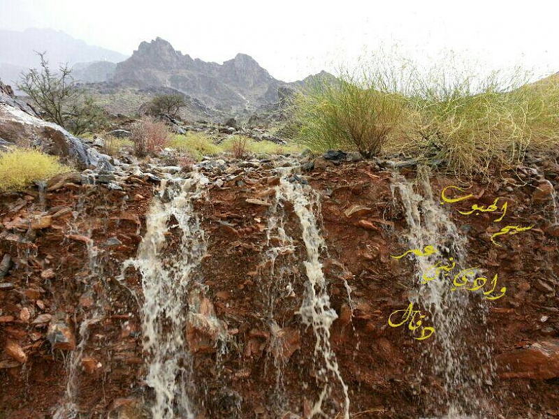     . 

:	uploadfromtaptalk1400601408046.jpg 
:	97 
:	121.5  
:	12557