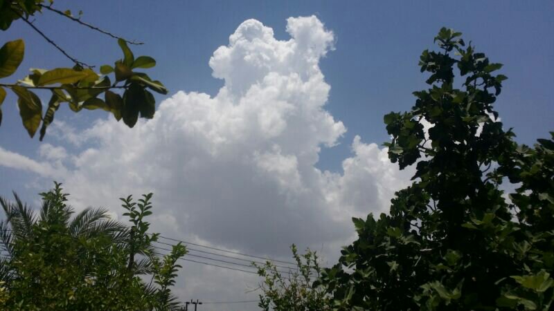 :	uploadfromtaptalk1400659573740.jpg
: 42
:	59.6 