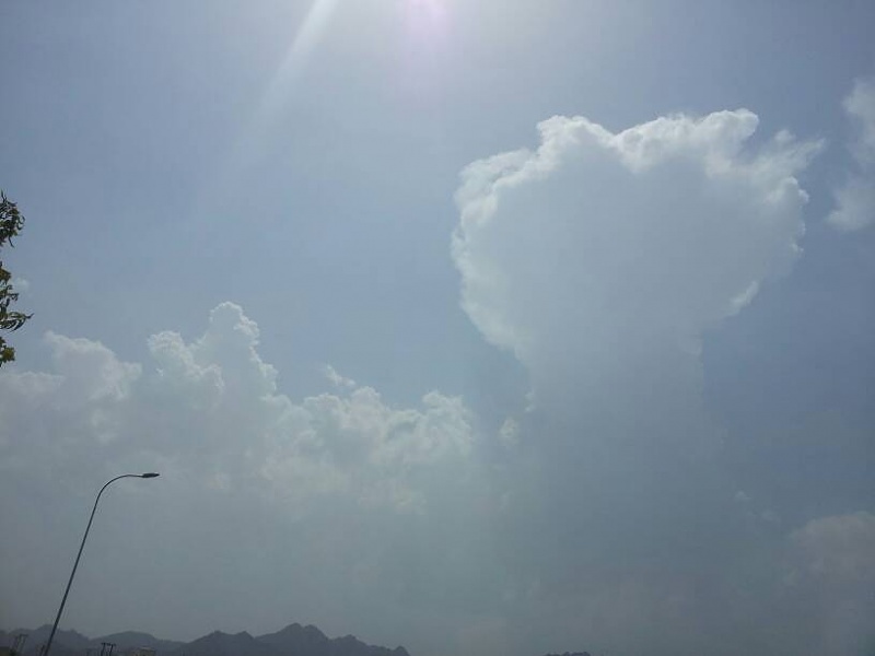     . 

:	uploadfromtaptalk1401704226770.jpg 
:	149 
:	17.7  
:	12717