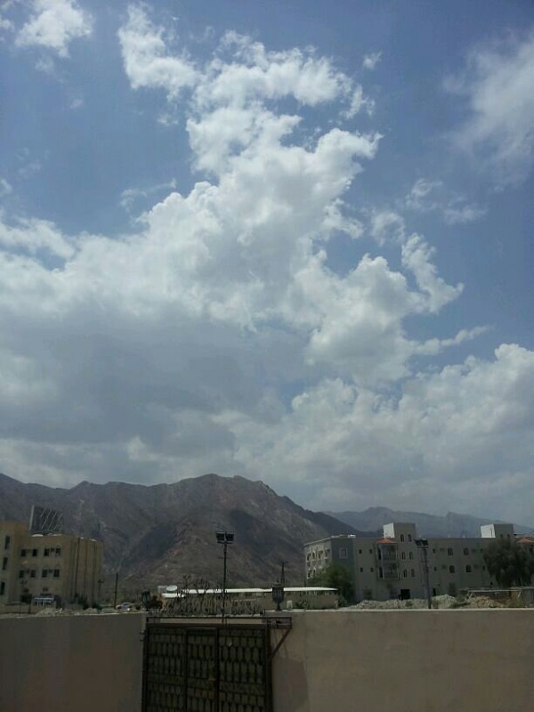     . 

:	uploadfromtaptalk1401787873731.jpg 
:	64 
:	51.2  
:	12741