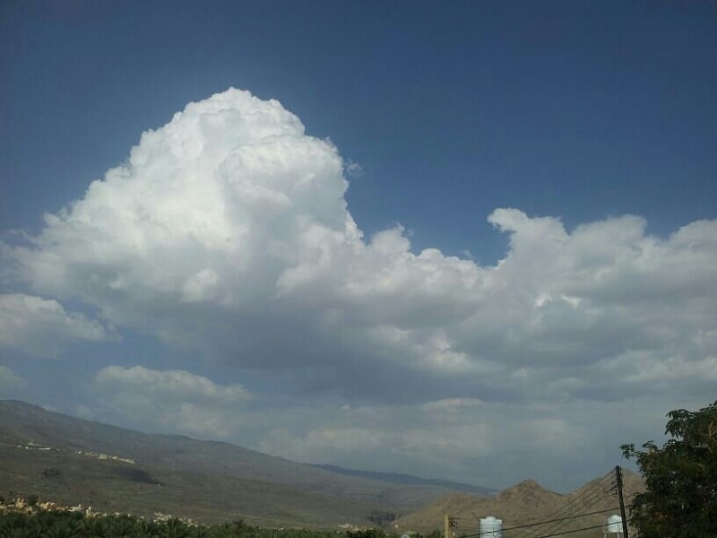     . 

:	uploadfromtaptalk1401797437372.jpg 
:	53 
:	40.6  
:	12750