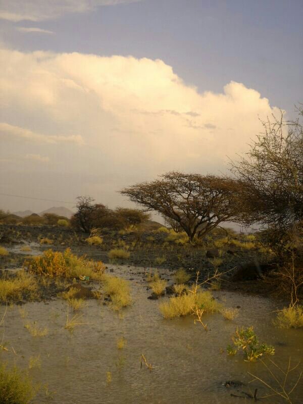 :	uploadfromtaptalk1401824284448.jpg
: 98
:	76.2 