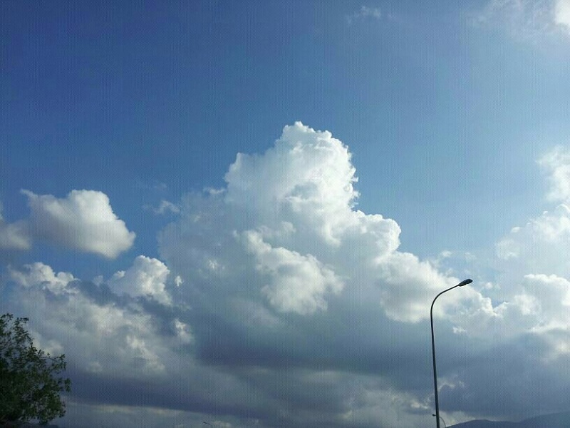     . 

:	uploadfromtaptalk1354446655200.jpg 
:	82 
:	87.7  
:	1284