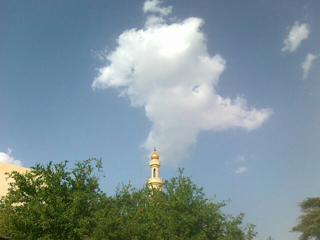 :	uploadfromtaptalk1402492351119.jpg
: 130
:	43.2 