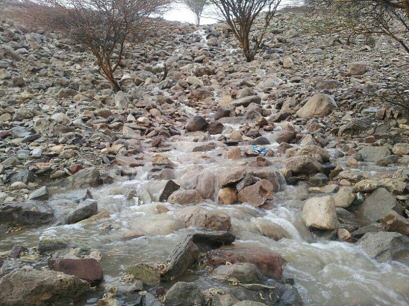     . 

:	uploadfromtaptalk1403613851960.jpg 
:	97 
:	132.1  
:	13033