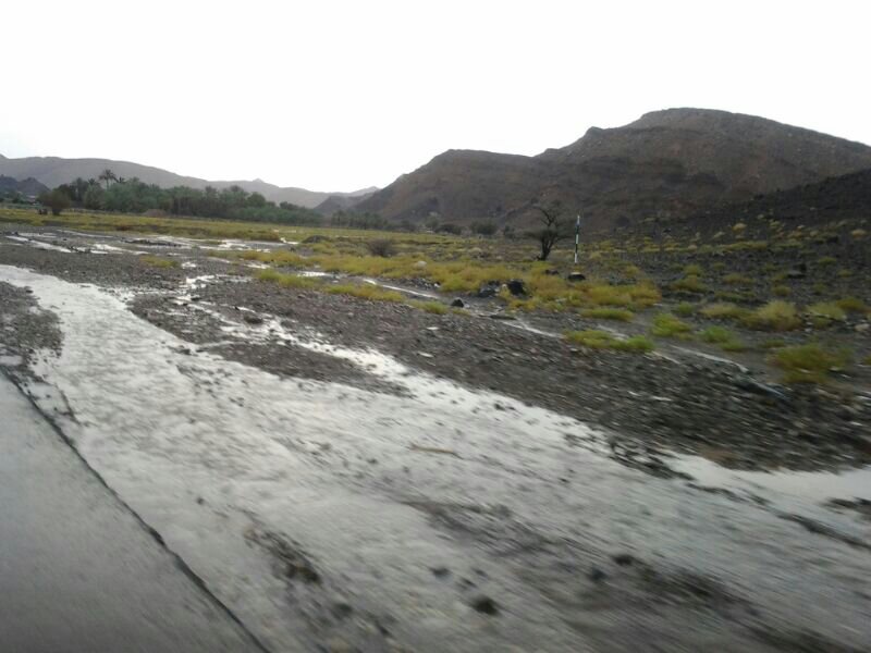 :	uploadfromtaptalk1404007543515.jpg
: 95
:	70.6 