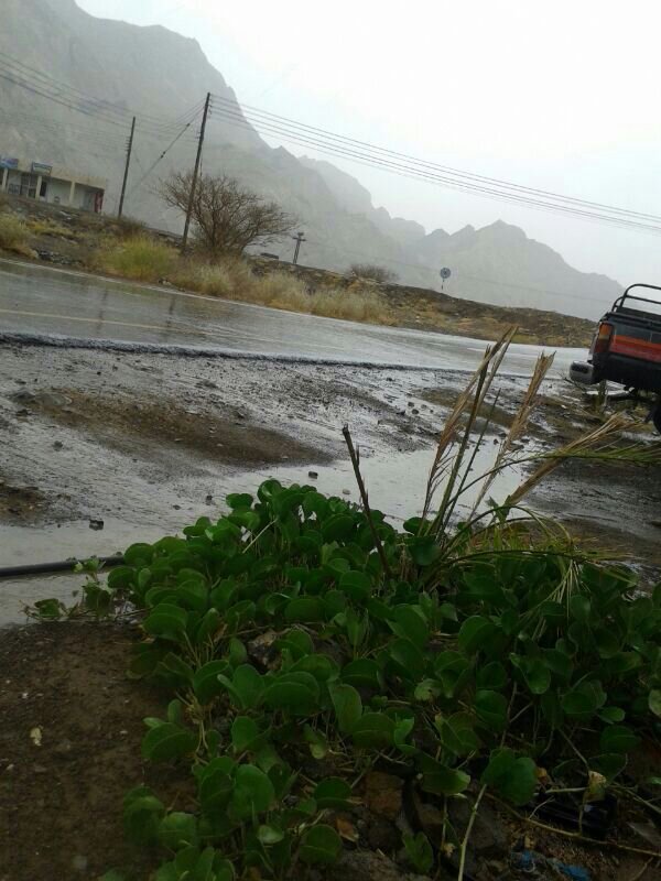 :	uploadfromtaptalk1404047932955.jpg
: 36
:	88.1 