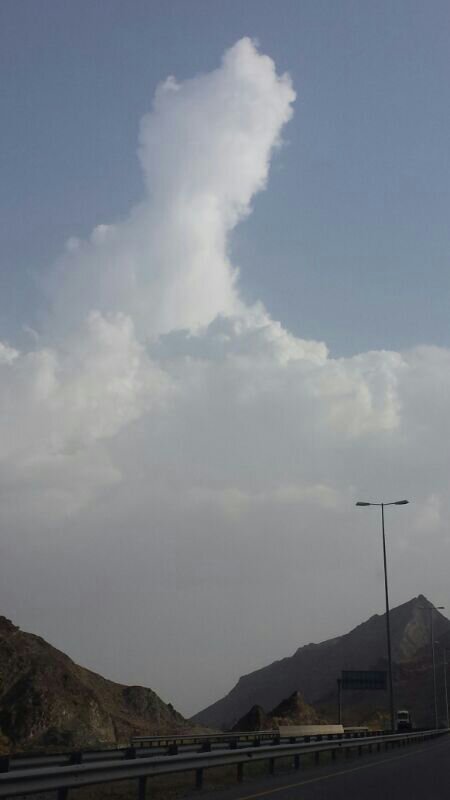 :	uploadfromtaptalk1404134357861.jpg
: 59
:	23.7 