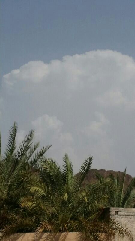 :	uploadfromtaptalk1404216293479.jpg
: 213
:	45.0 