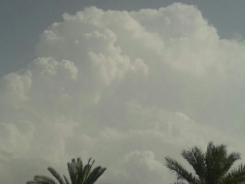 :	uploadfromtaptalk1404218746826.jpg
: 89
:	39.5 