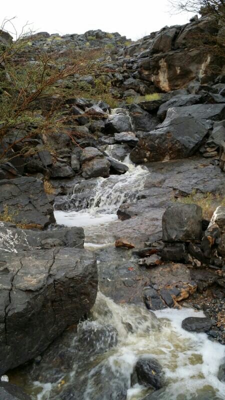 :	uploadfromtaptalk1404301418996.jpg
: 48
:	95.7 