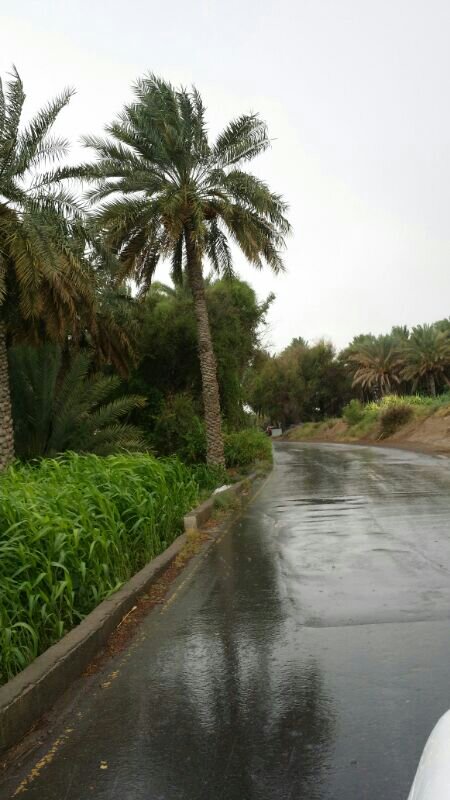 :	uploadfromtaptalk1404301819687.jpg
: 44
:	69.6 