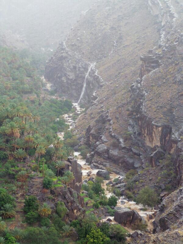 :	uploadfromtaptalk1404313332514.jpg
: 74
:	104.6 